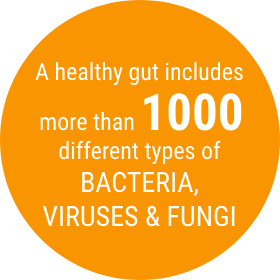 Orange circle graphic with text that reads "A healthy gut includes more than 1000 different types of bacteria, viruses and fungi."