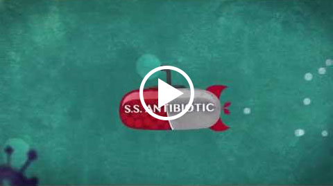 Video Minifield