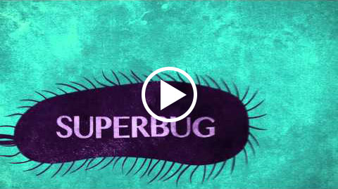 Video Superbug